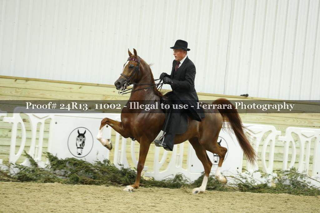 Proof Number 24R13_11002