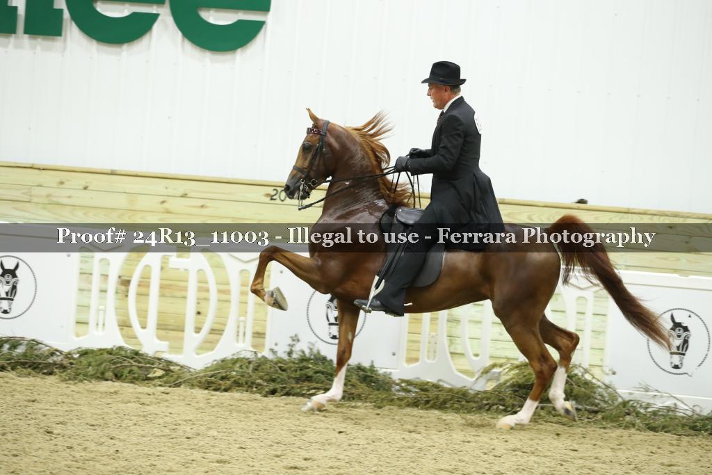 Proof Number 24R13_11003