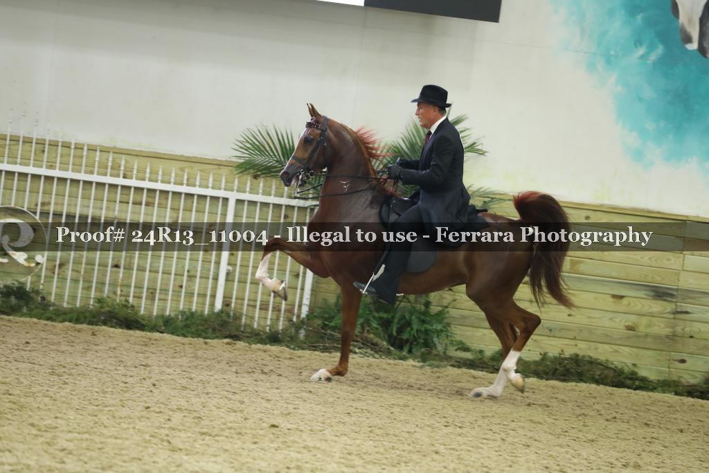 Proof Number 24R13_11004