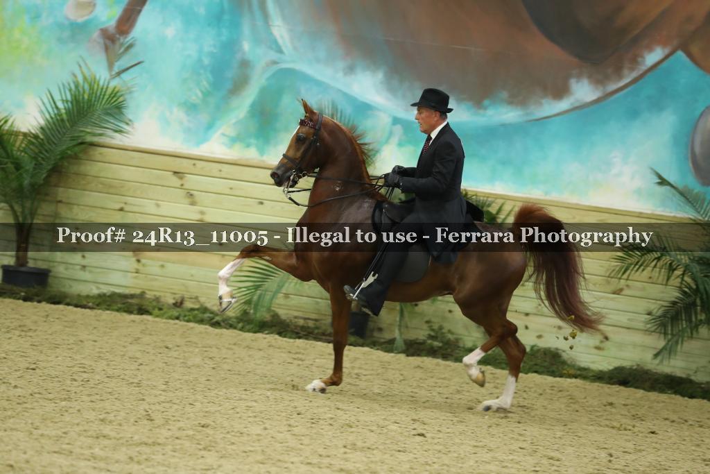 Proof Number 24R13_11005