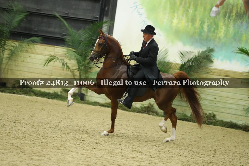 Proof Number 24R13_11006