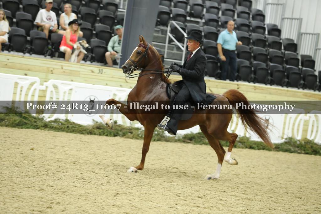 Proof Number 24R13_11007