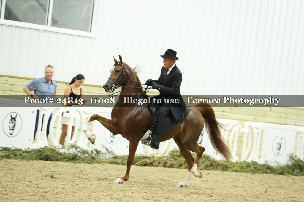 Proof Number 24R13_11008