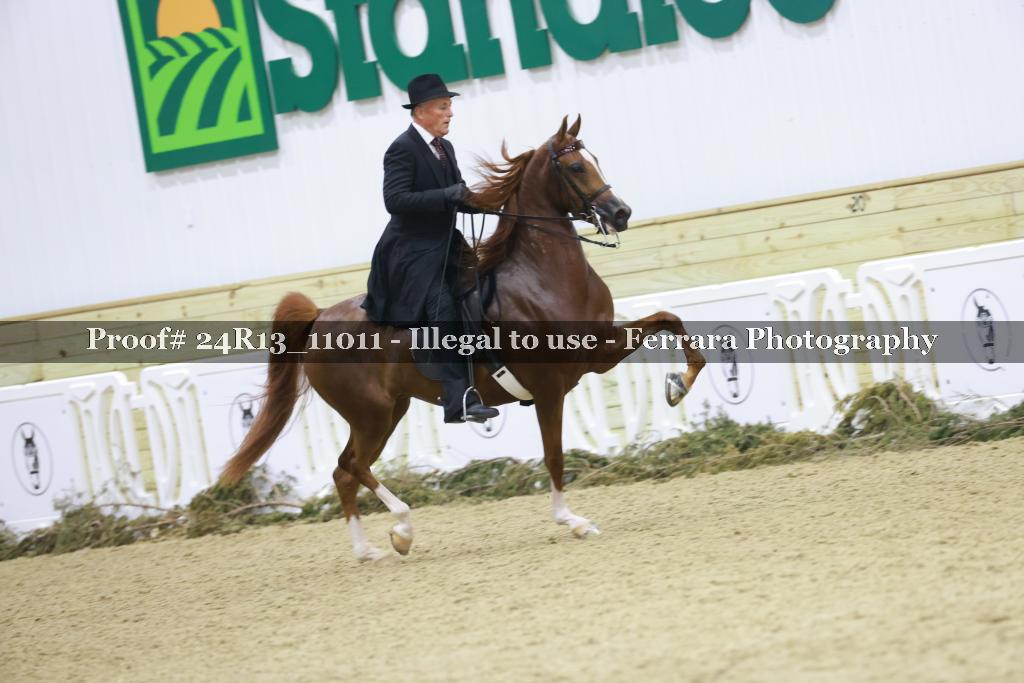 Proof Number 24R13_11011