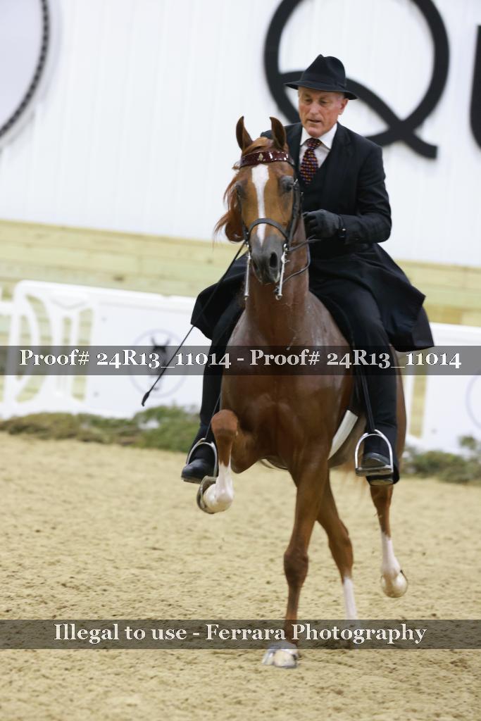 Proof Number 24R13_11014