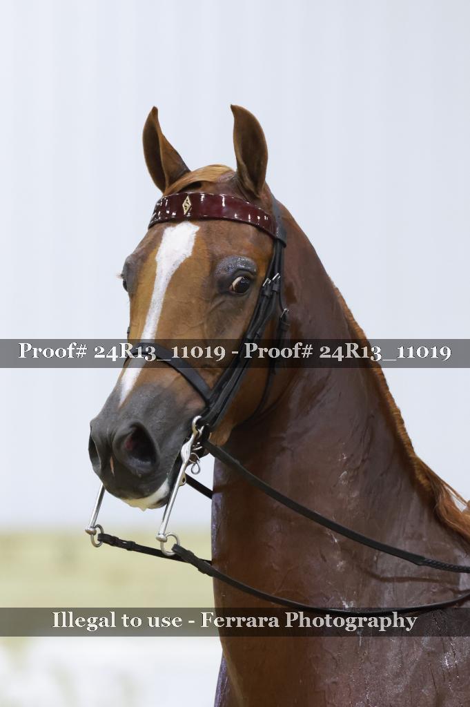 Proof Number 24R13_11019