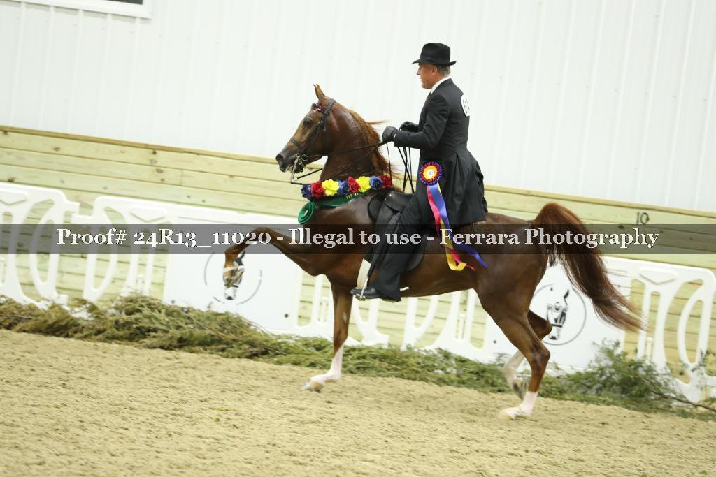 Proof Number 24R13_11020