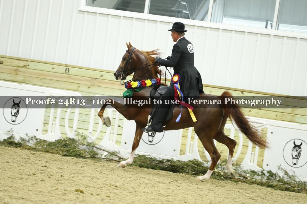 Proof Number 24R13_11021