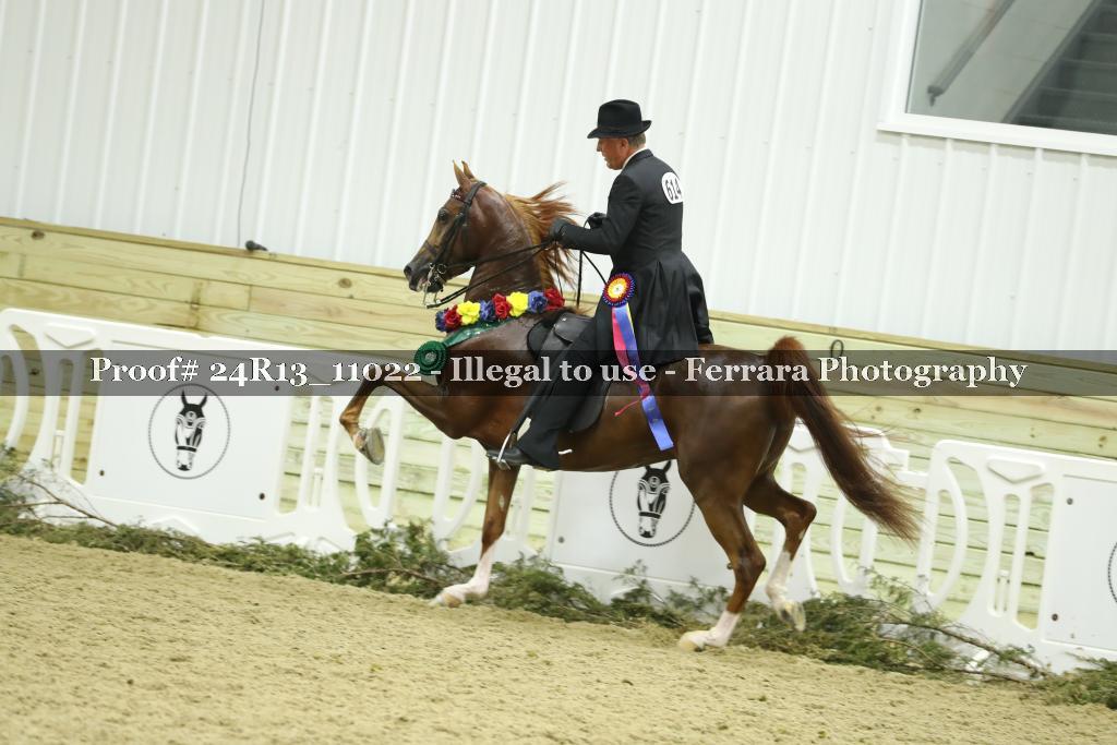 Proof Number 24R13_11022