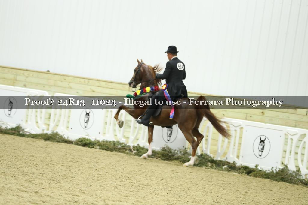 Proof Number 24R13_11023