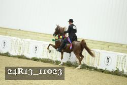 24R13_11023 thumbnail