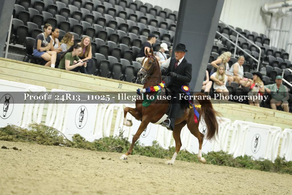 Proof Number 24R13_11025