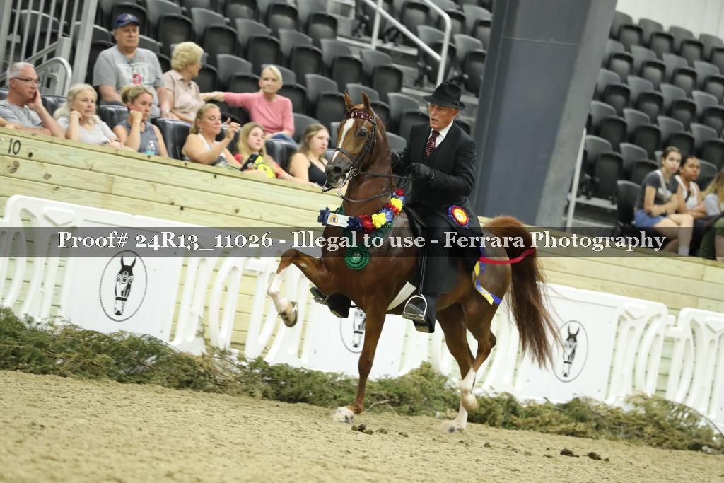 Proof Number 24R13_11026