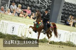 24R13_11026 thumbnail