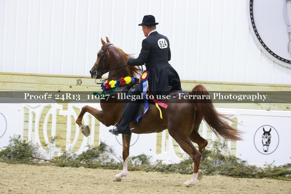 Proof Number 24R13_11027