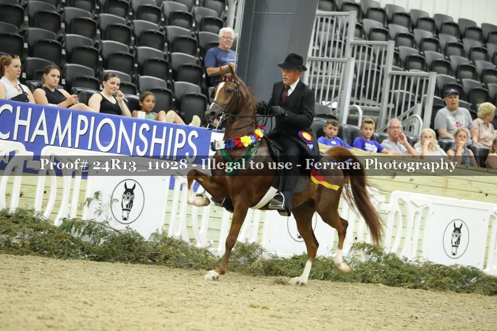 Proof Number 24R13_11028
