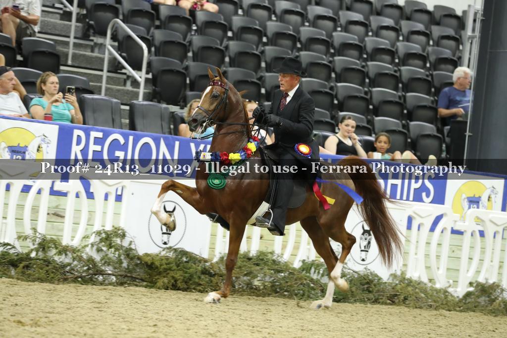 Proof Number 24R13_11029