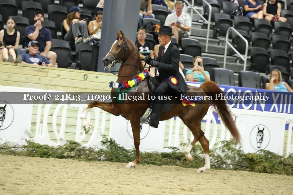 Proof Number 24R13_11030