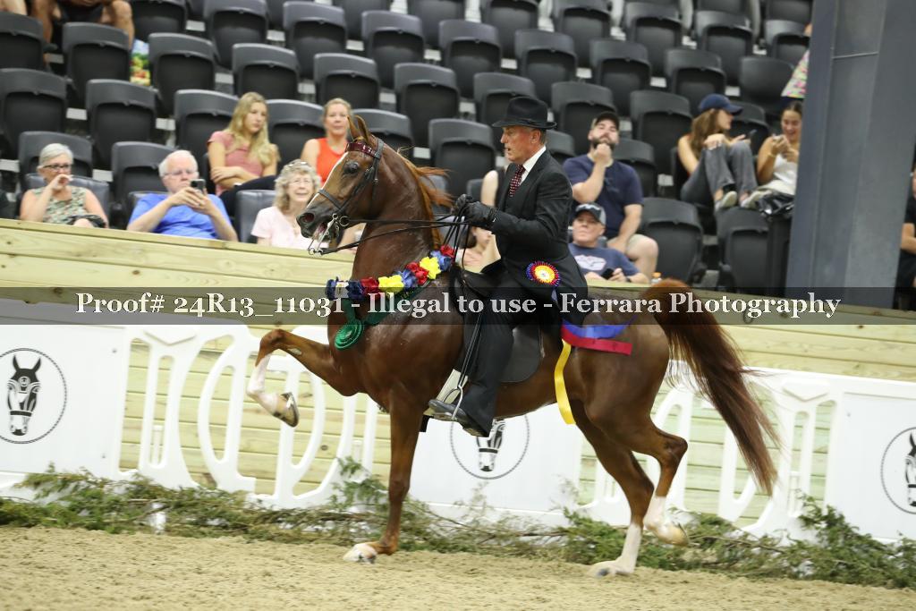 Proof Number 24R13_11031