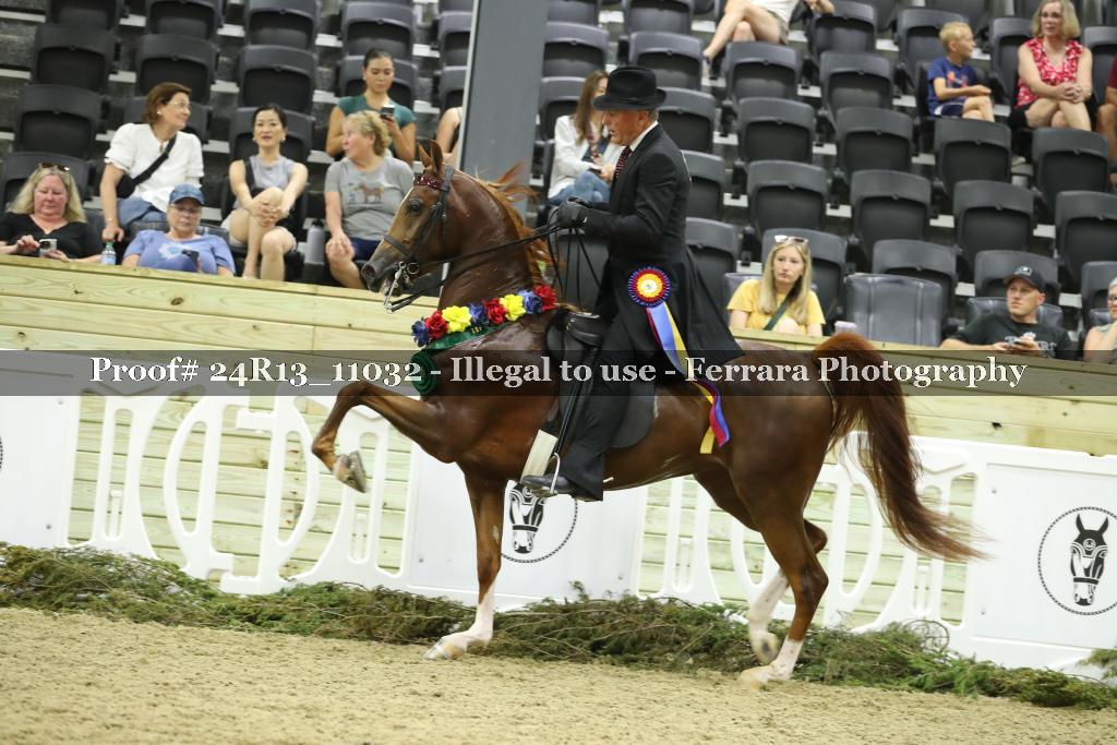 Proof Number 24R13_11032
