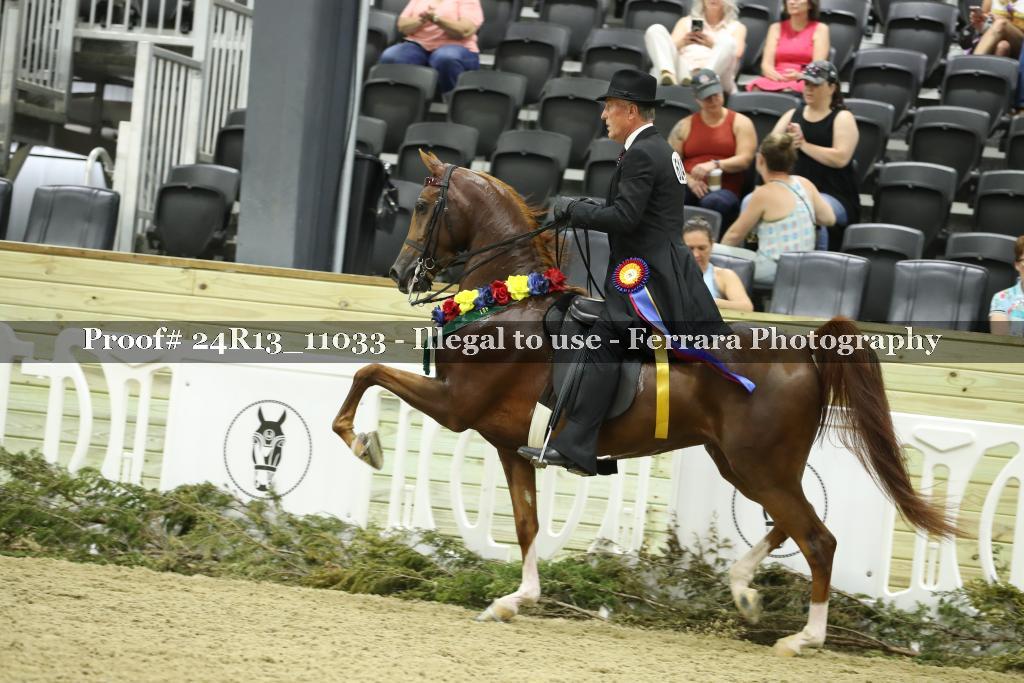 Proof Number 24R13_11033