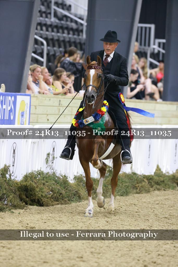 Proof Number 24R13_11035