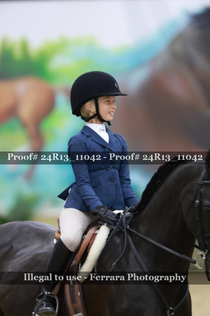 Proof Number 24R13_11042