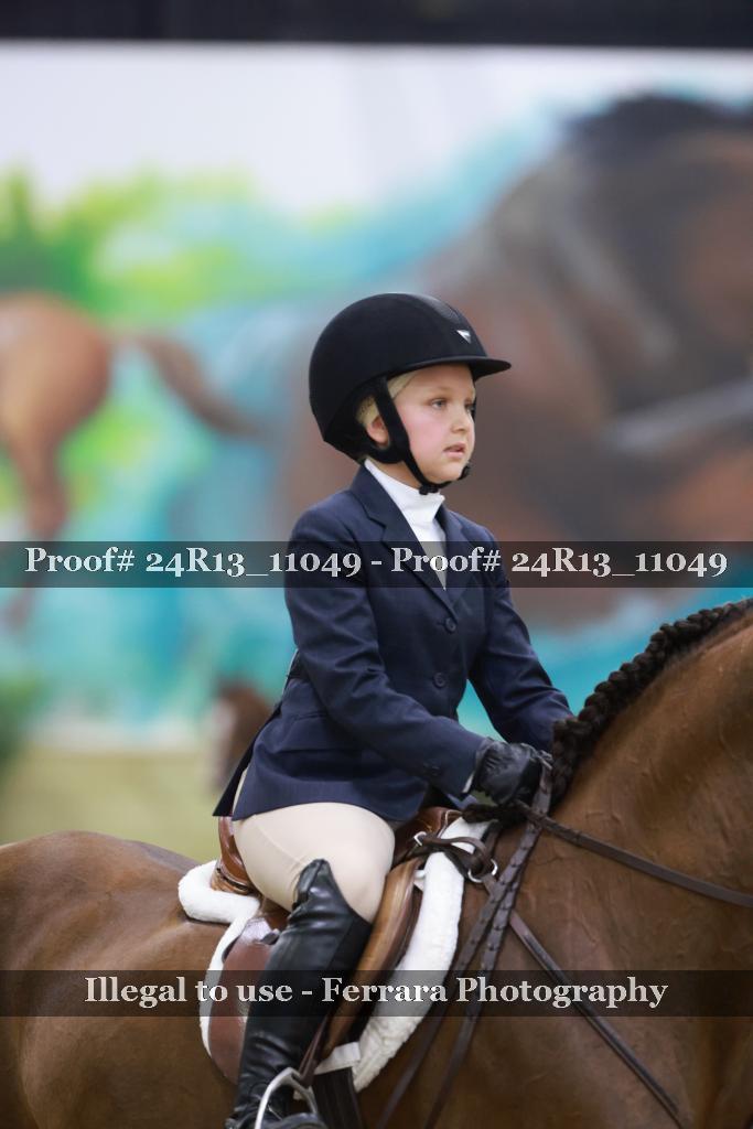 Proof Number 24R13_11049