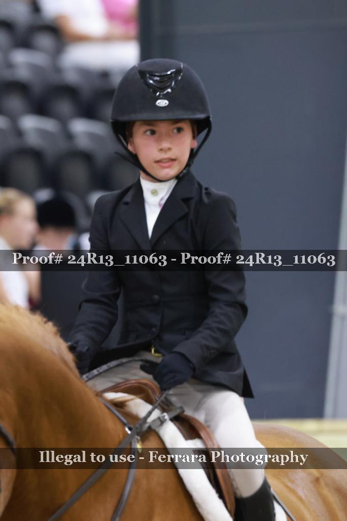 Proof Number 24R13_11063