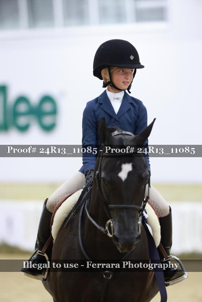 Proof Number 24R13_11085