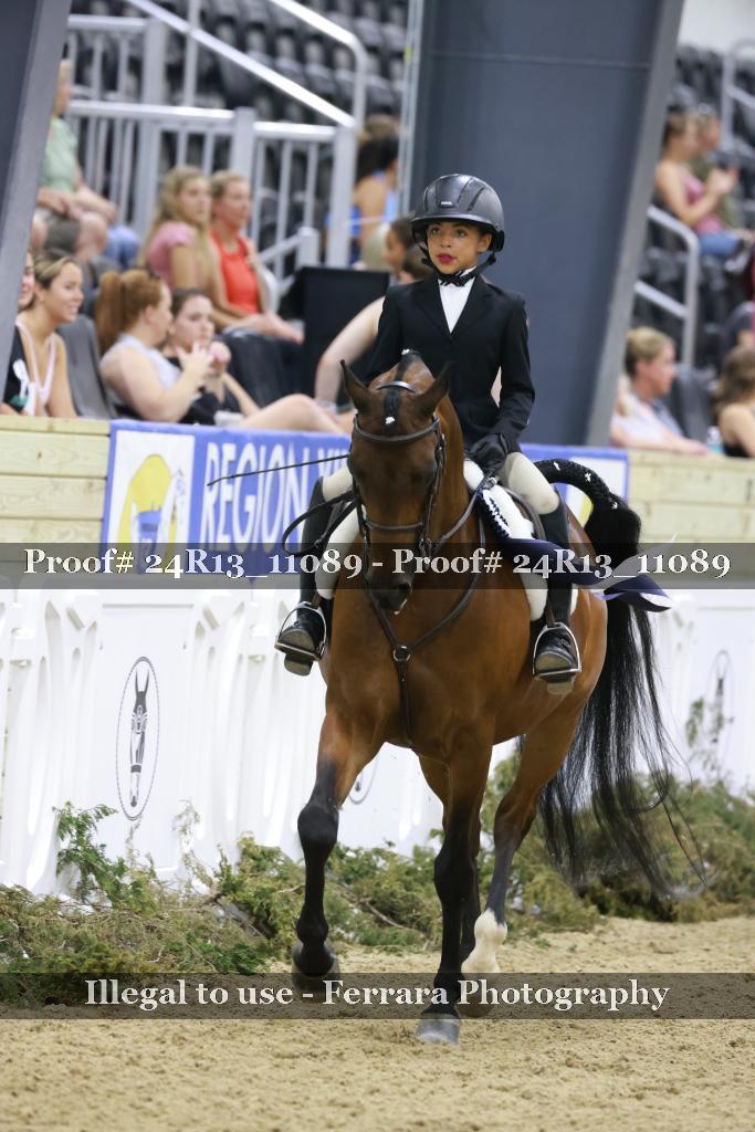 Proof Number 24R13_11089