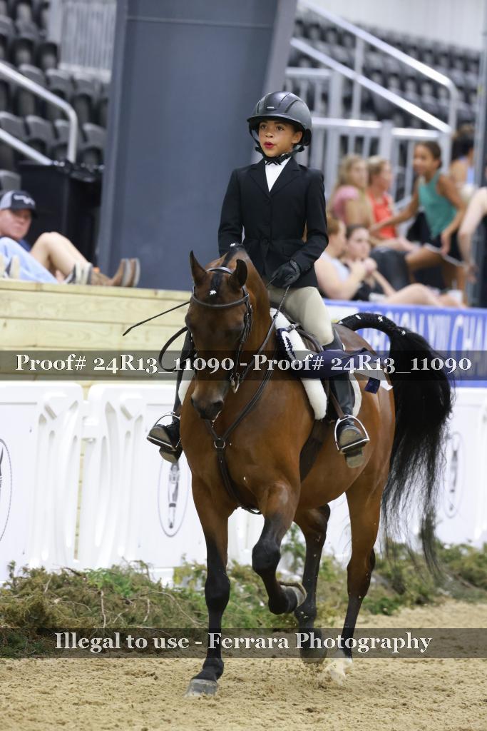 Proof Number 24R13_11090