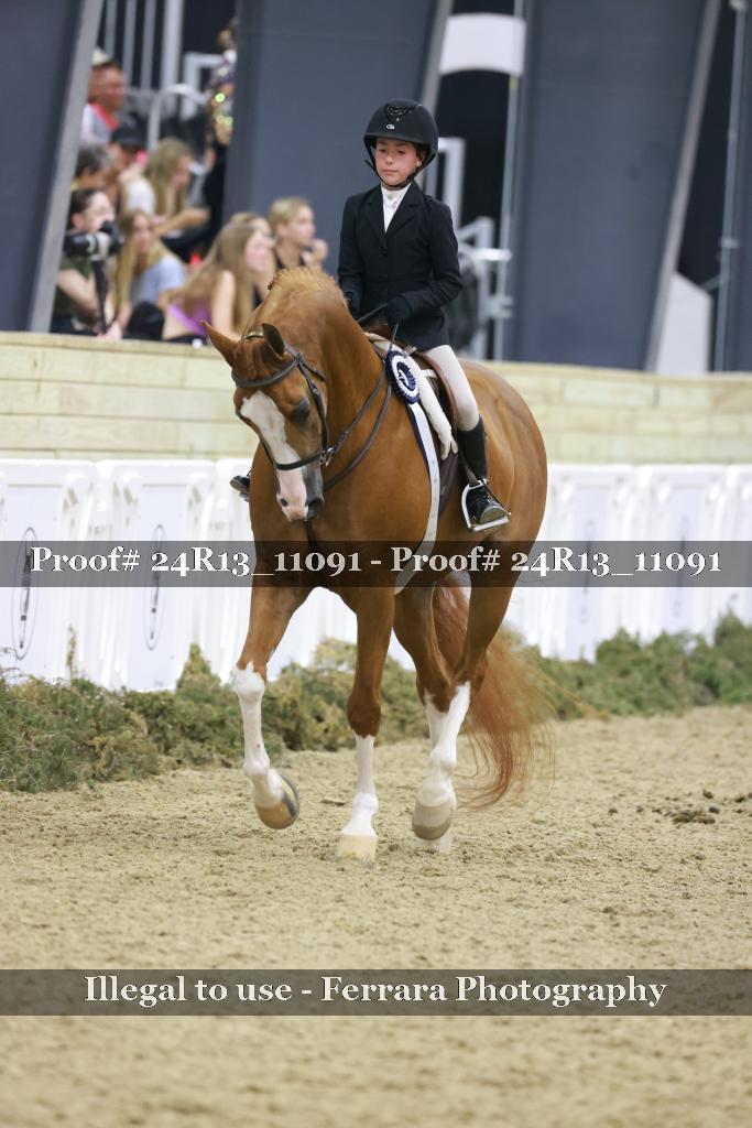 Proof Number 24R13_11091