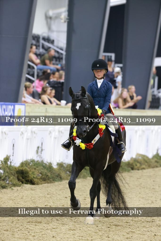 Proof Number 24R13_11099