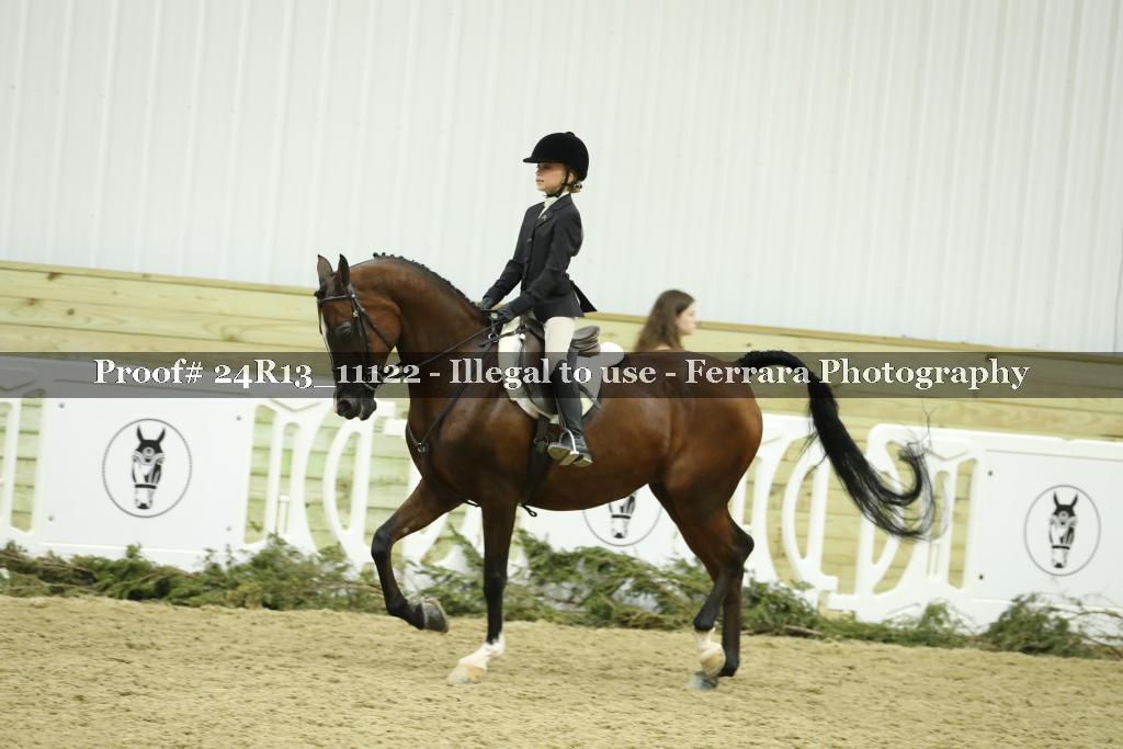 Proof Number 24R13_11122