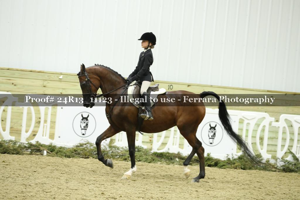 Proof Number 24R13_11123