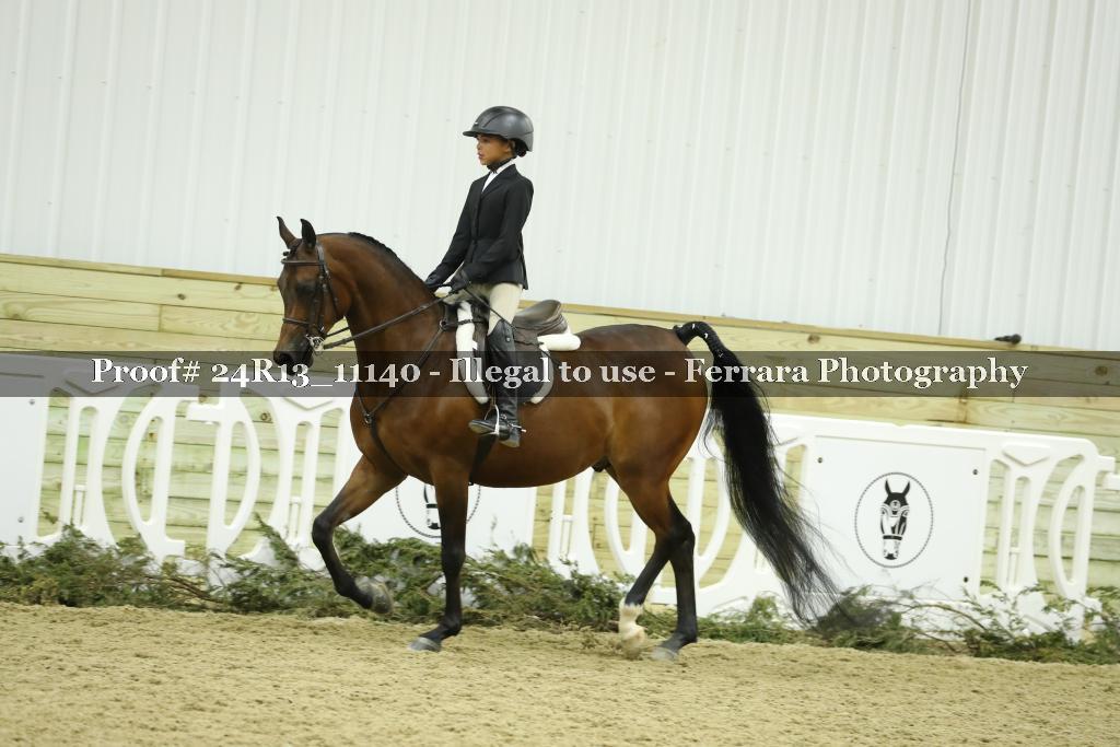 Proof Number 24R13_11140