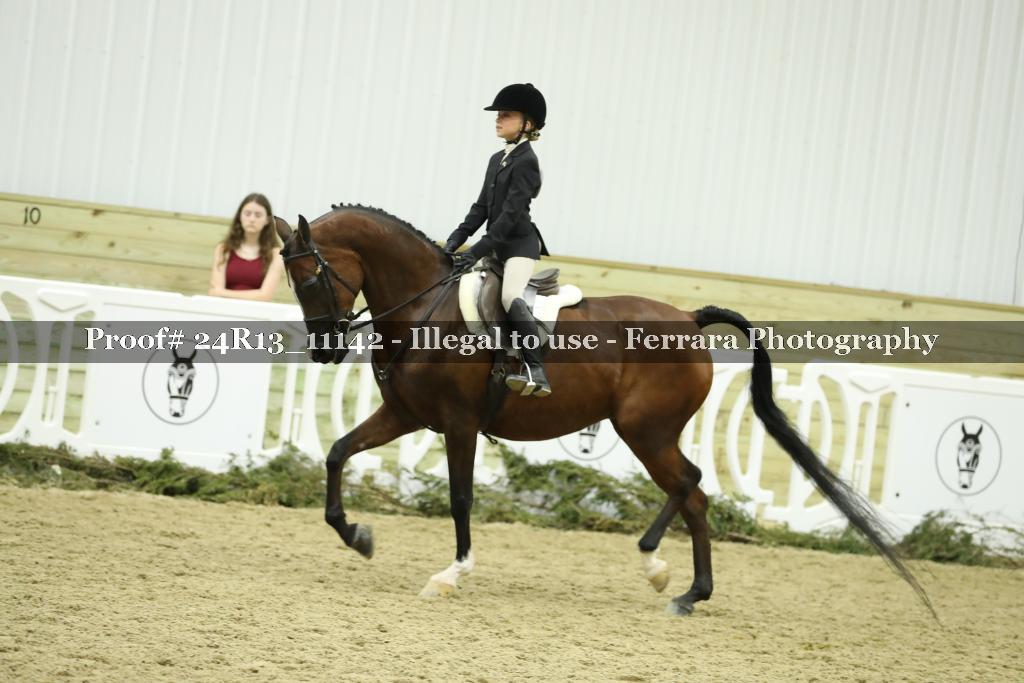 Proof Number 24R13_11142