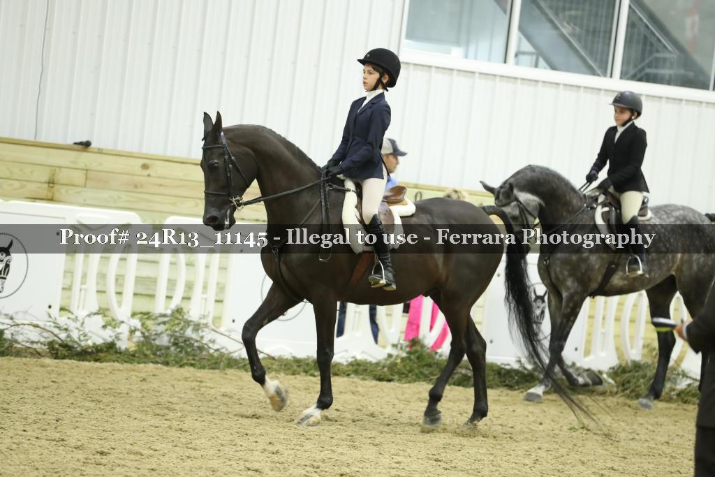 Proof Number 24R13_11145