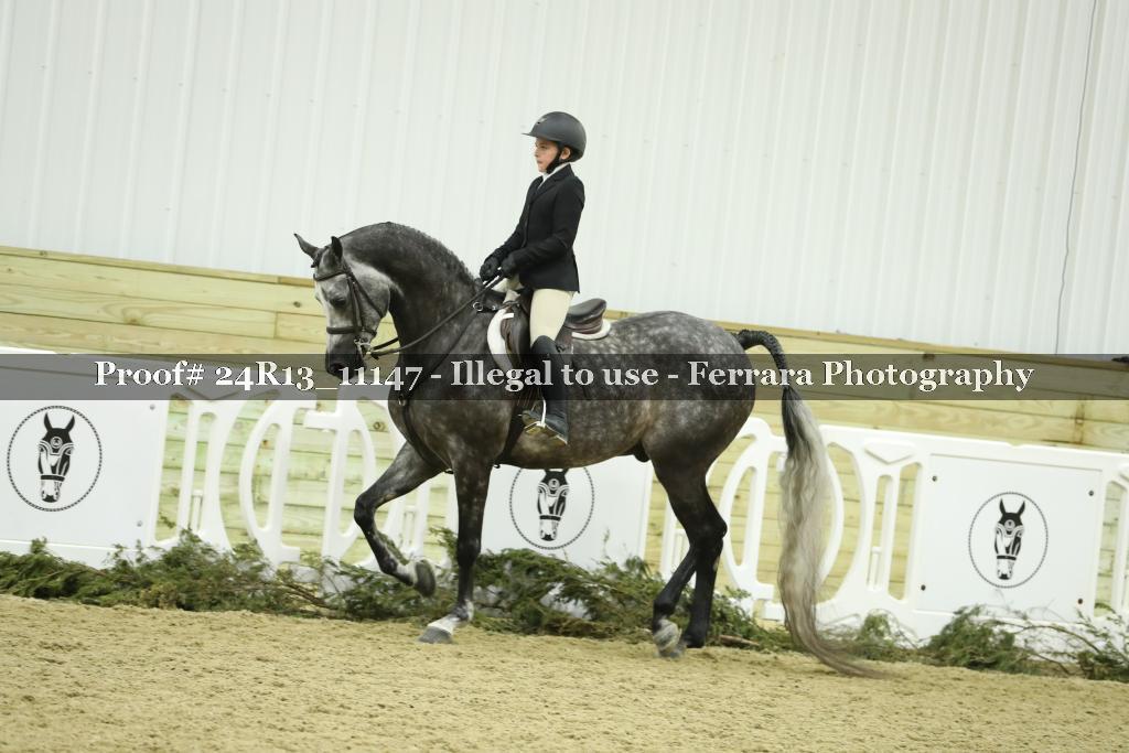 Proof Number 24R13_11147