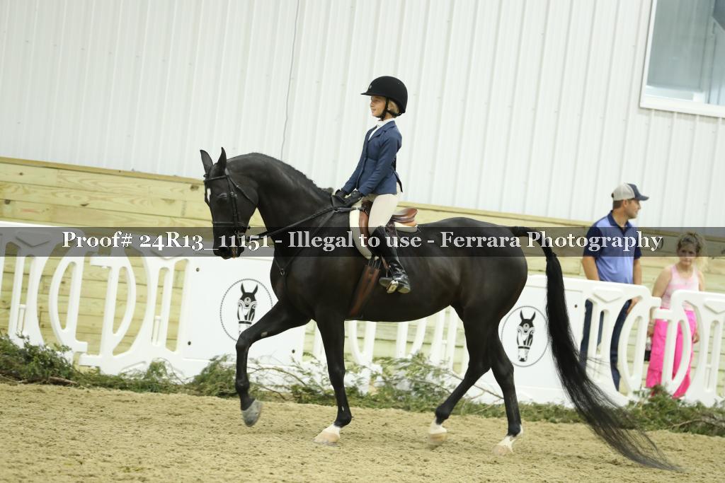 Proof Number 24R13_11151