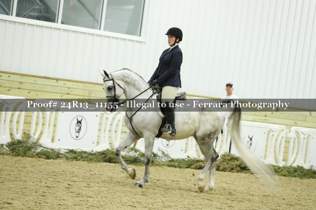 Proof Number 24R13_11155