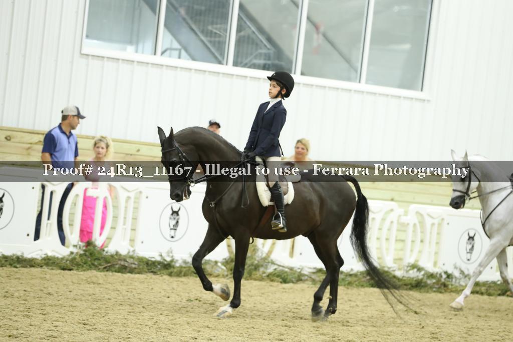 Proof Number 24R13_11167