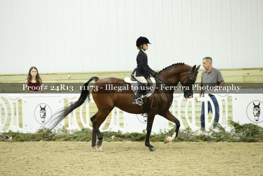 Proof Number 24R13_11173