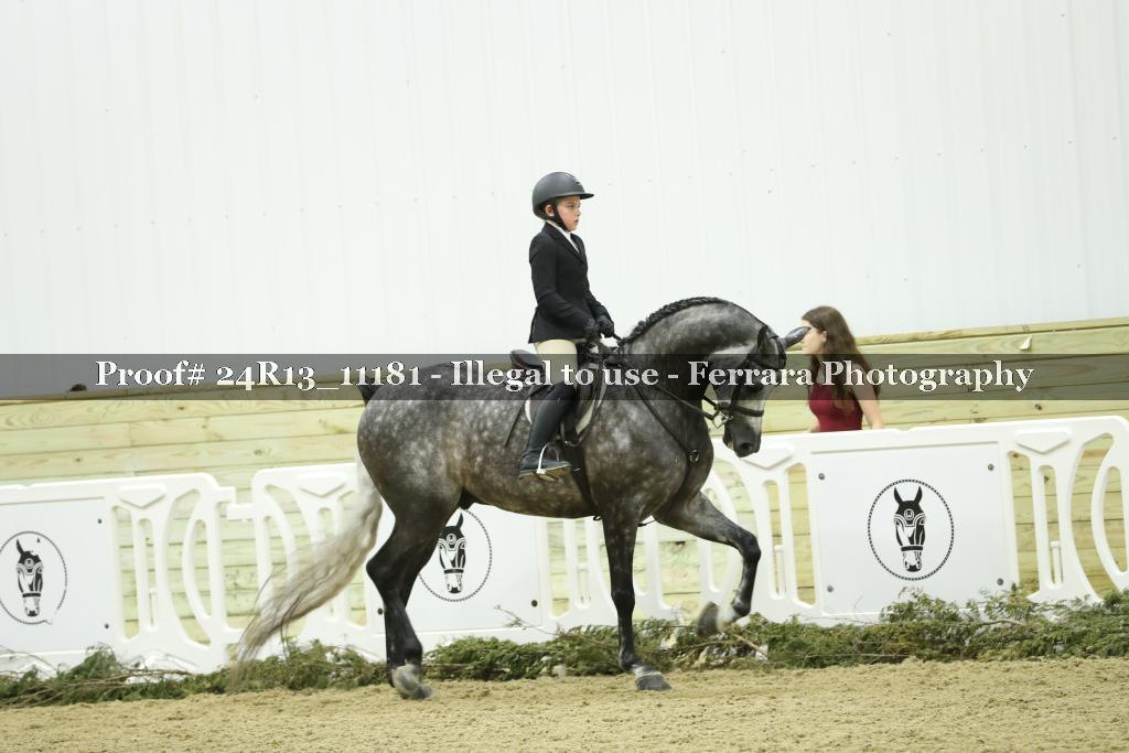 Proof Number 24R13_11181