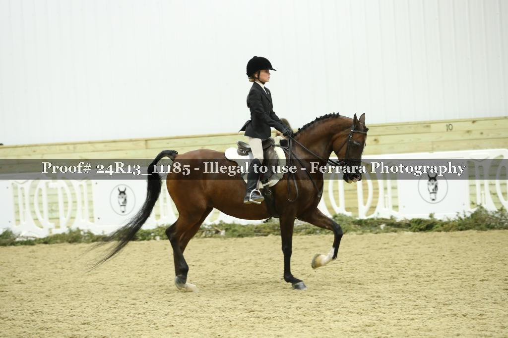 Proof Number 24R13_11185
