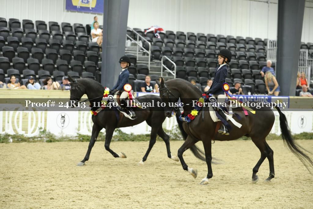 Proof Number 24R13_11240