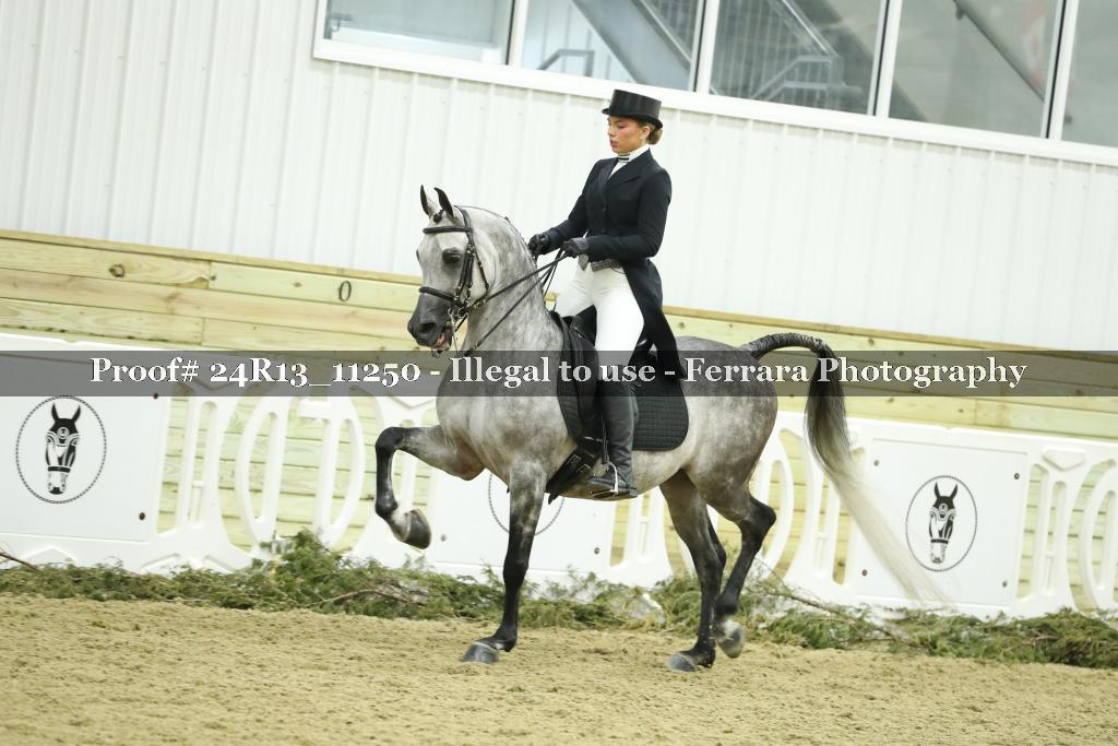 Proof Number 24R13_11250