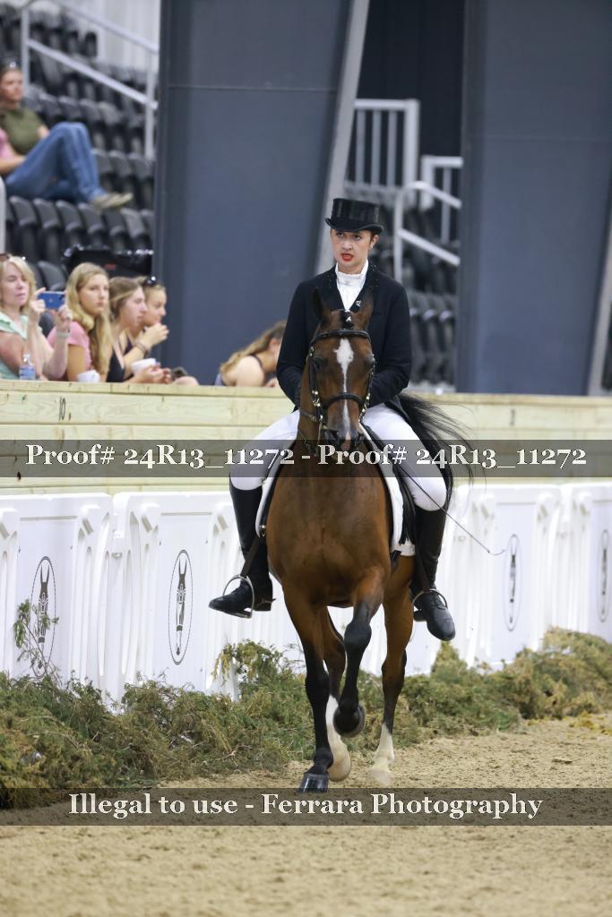 Proof Number 24R13_11272