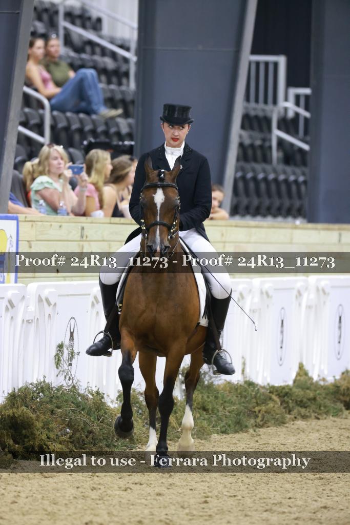 Proof Number 24R13_11273